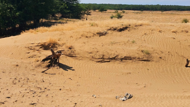 foto diana buzoianu 100 000 de ha din romania s au transformat in desert sau urmeaza sa se desertifice solutiile pentru impadurire 6874202336630