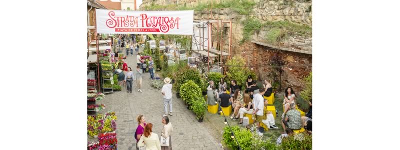 strada potaissa concurs european de design pentru studenti 6893667c77009