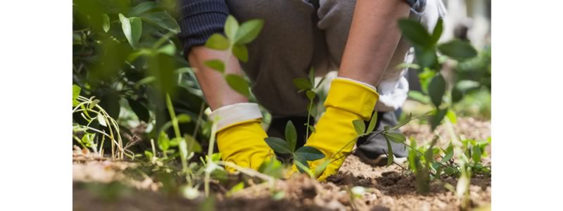 finantare totala de 150 000 de euro disponibila pentru bucurestenii care vor sa rezolve probleme de mediu in cartierul lor prin a treia editie in zona ta 699c684c82c15