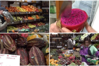 video romanii au prins gustul fructelor exotice cum s au transformat aprozarele clasice in afaceri cu rambutan jackfruit sau mangustan 69ca8ccb675a5